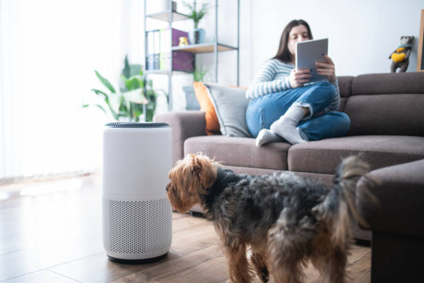 Pet-Friendly Smart Electrical Home Improvements 6 Pet-Friendly Smart Electrical Home Improvements