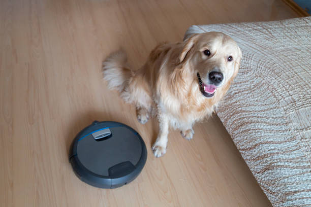 Pet-Friendly Smart Electrical Home Improvements 5 Pet-Friendly Smart Electrical Home Improvements