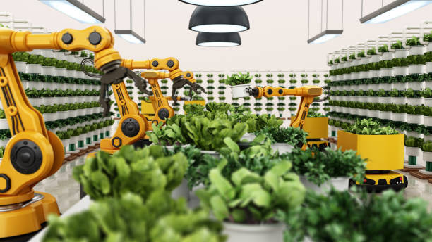 How To Automate Your Greenhouse For Every Season 2 How to Automate Your Greenhouse for Every Season