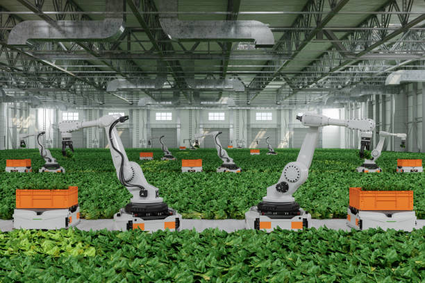How To Automate Your Greenhouse For Every Season 3 How to Automate Your Greenhouse for Every Season