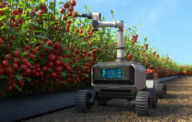 How To Automate Your Greenhouse For Every Season 4 How to Automate Your Greenhouse for Every Season