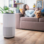 Allergy-Proof Your Home with Air Quality Responsive Smart Ventilation
