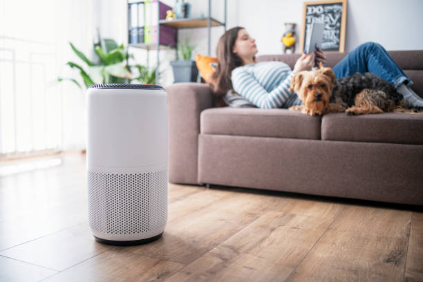 Allergy-Proof Your Home with Air Quality Responsive Smart Ventilation