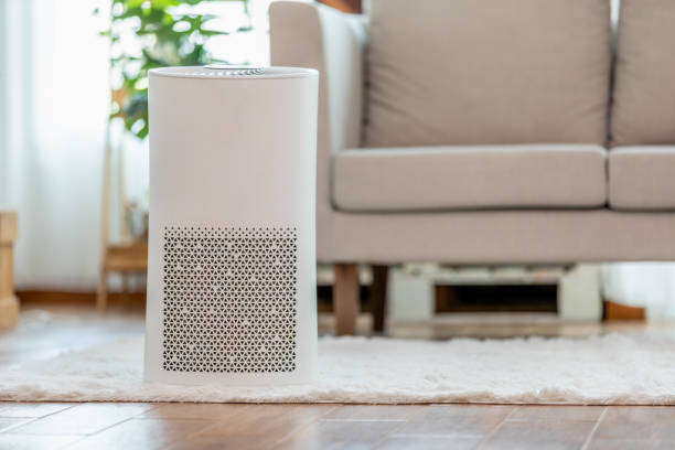 Allergy-Proof Your Home with Air Quality Responsive Smart Ventilation 4 Allergy-Proof Your Home with Air Quality Responsive Smart Ventilation