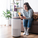 Top-Rated Smart Air Purifiers and Ventilation Devices for Allergy Relief