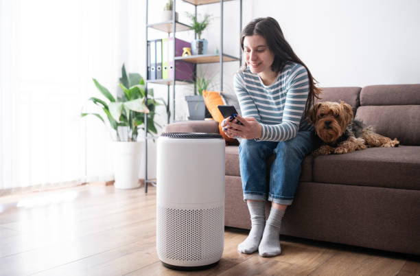 Top-Rated Smart Air Purifiers and Ventilation Devices for Allergy Relief 1 Top-Rated Smart Air Purifiers and Ventilation Devices for Allergy Relief